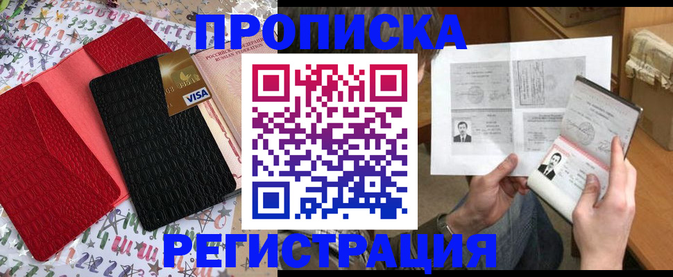 прописка поиск в Кудрово